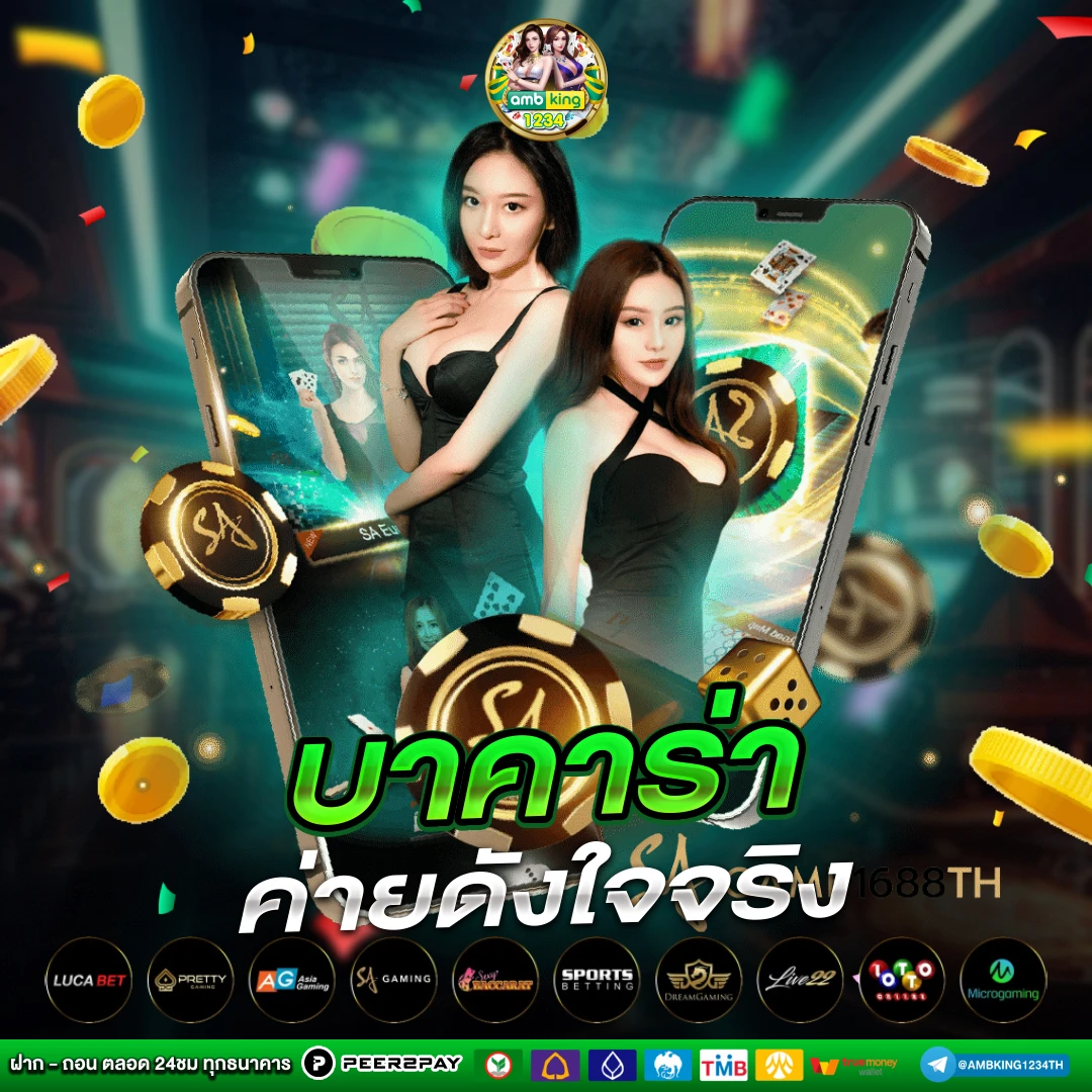 สล้ - แบนเนอร์โปรโมชั่น